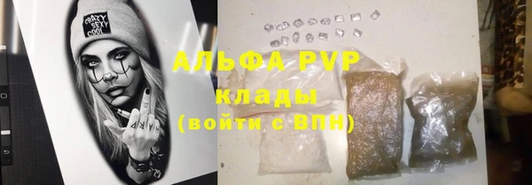 прущие грибы Абдулино