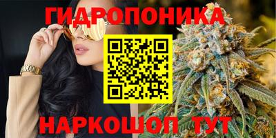 шишки Азнакаево