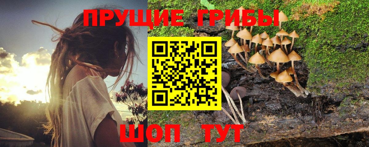 Галлюциногенные грибы ЛСД Алатырь