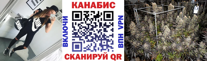 OMG маркетплейс Алатырь Конопля White Widow